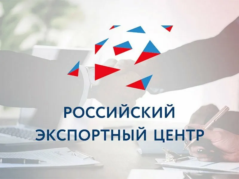 Нижегородский бизнес может получать и оплачивать экспортные счета на платформе «Мой экспорт»